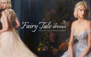 banner-new-collection-n